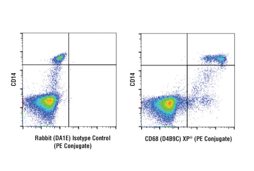 CD68 (D4B9C) XP Rabbit mAb (PE Conjugate)