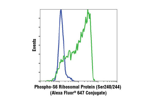 Phospho-S6 Ribosomal Protein (Ser240/244) (D68F8) XP Rabbit mAb (Alexa Fluor 647 Conjugate)