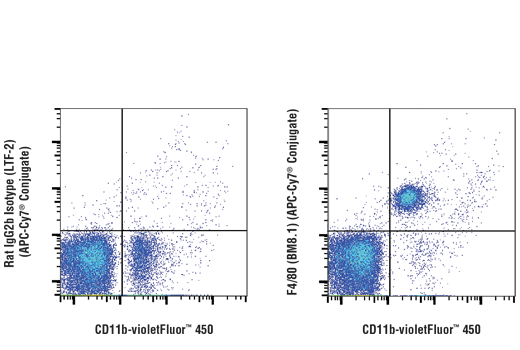 F4/80 (BM8.1) Rat mAb (APC-Cy7 Conjugate)