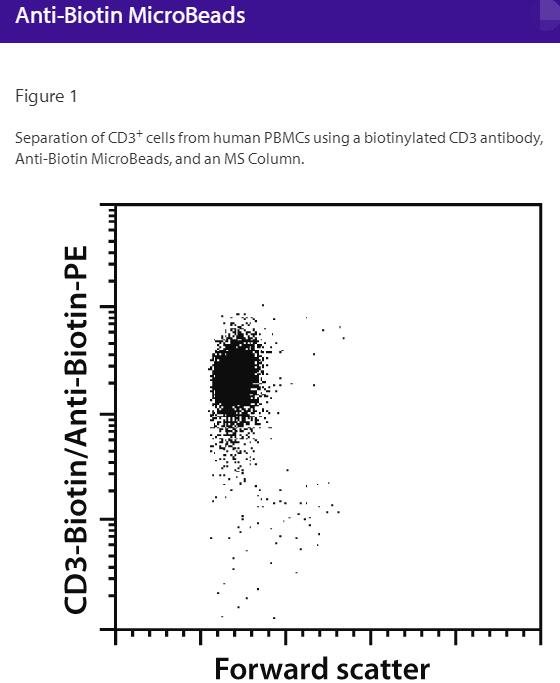 Anti-Biotin MicroBeads - lyophilized